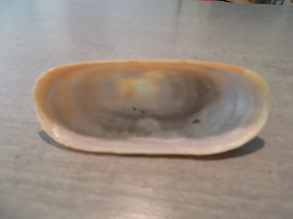 DSCN0725.webp
