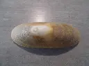 DSCN0726.webp