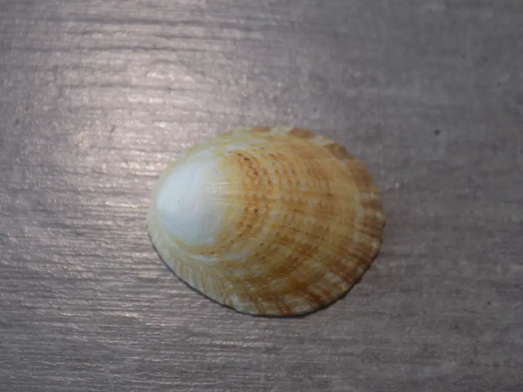 DSCN0736.webp