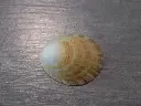 DSCN0736.webp