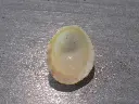 DSCN0737.webp