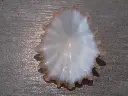 DSCN0728.webp