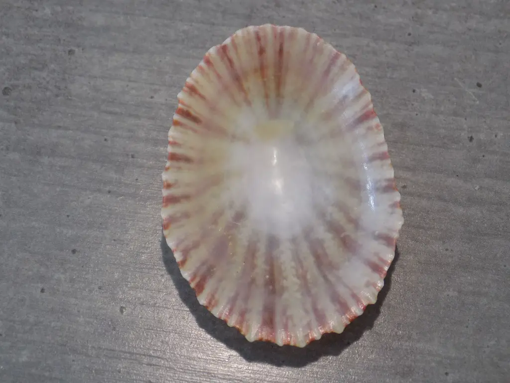 DSCN0730.webp