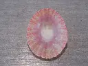 DSCN0732.webp