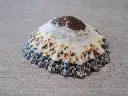 DSCN0743.webp