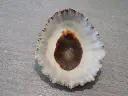 DSCN0745.webp