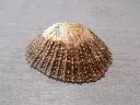 DSCN0739.webp