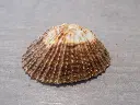 DSCN0740.webp
