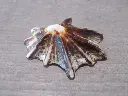 DSCN0747.webp
