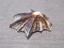 DSCN0748.webp