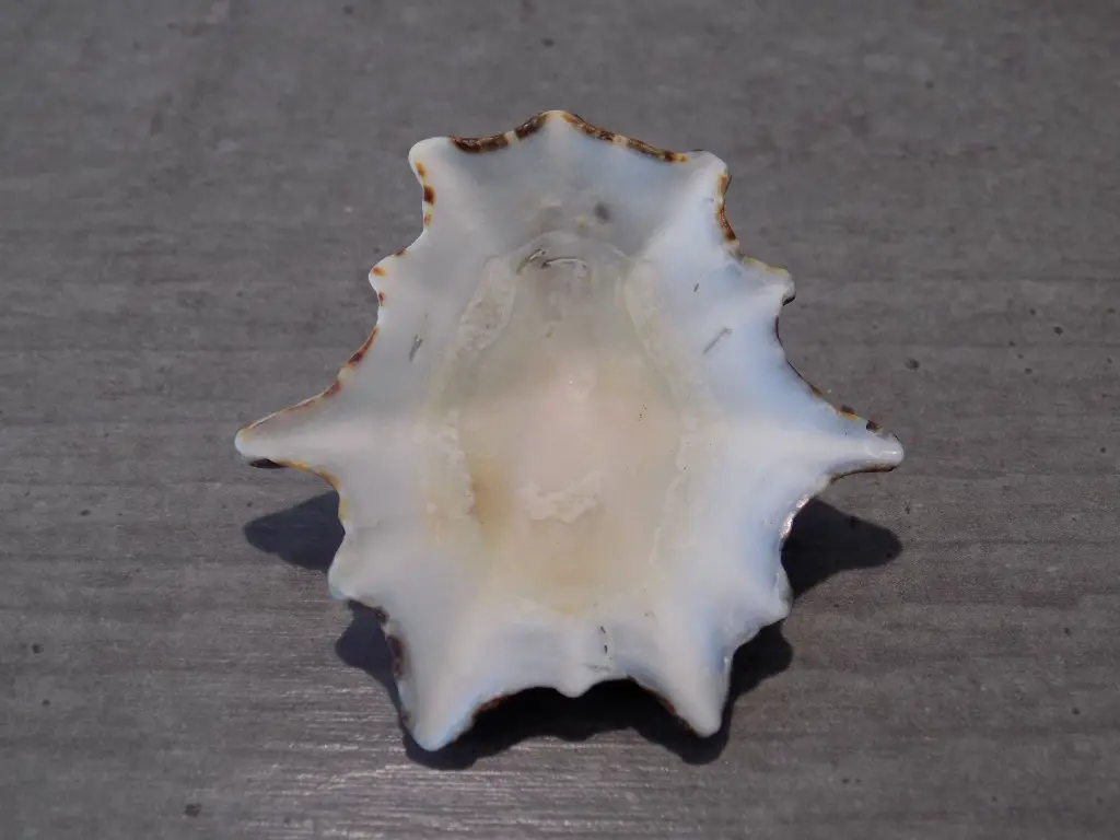 DSCN0749.webp