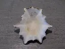 DSCN0749.webp