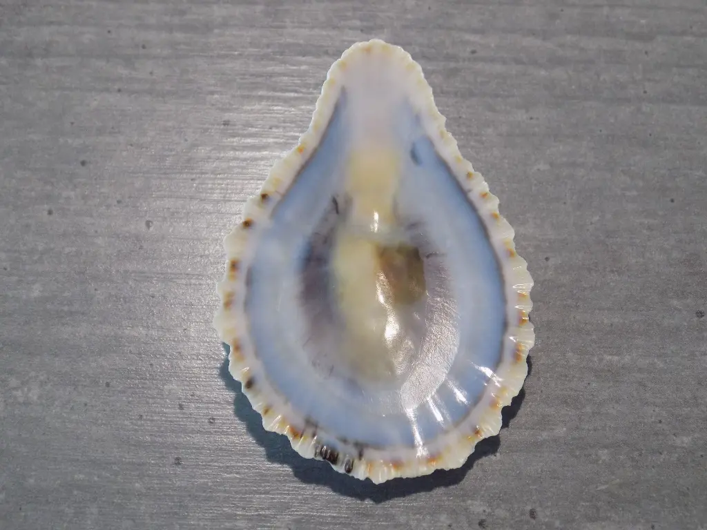 DSCN0752.webp