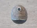 DSCN0756.webp