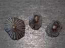 DSCN0762.webp