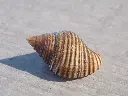 DSCN0764.webp