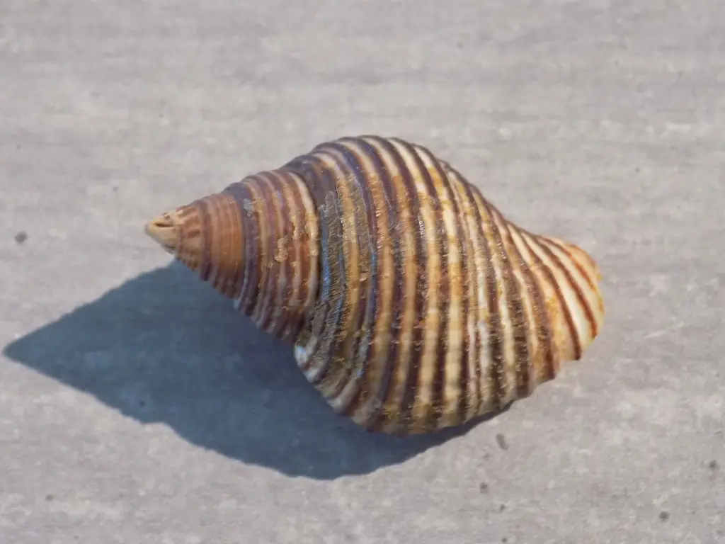 DSCN0767.webp