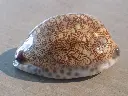 DSCN0769.webp