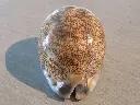 DSCN0770.webp
