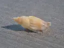 DSCN0773.webp