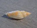 DSCN0774.webp