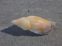 DSCN0776.webp