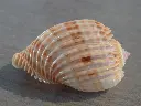 DSCN0778.webp