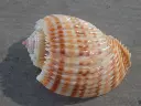 DSCN0788.webp