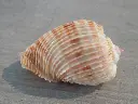 DSCN0791.webp