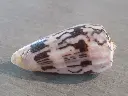 DSCN0801.webp