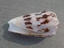 DSCN0802.webp