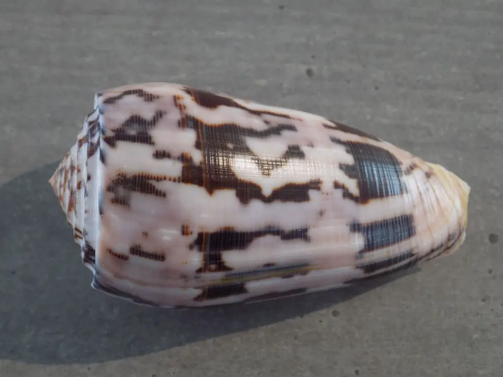 DSCN0803.webp
