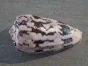 DSCN0803.webp
