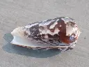 DSCN0806.webp