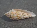 DSCN0814.webp