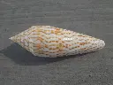 DSCN0815.webp
