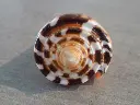 DSCN0818.webp
