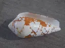 DSCN0824.webp