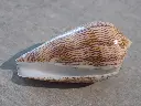 DSCN0832.webp