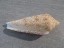 DSCN0844.webp