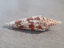 DSCN0847.webp