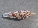 DSCN0848.webp