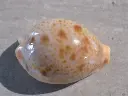 DSCN0908.webp