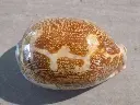 DSCN0853.webp