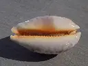 DSCN0856.webp