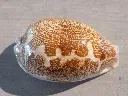 DSCN0857.webp