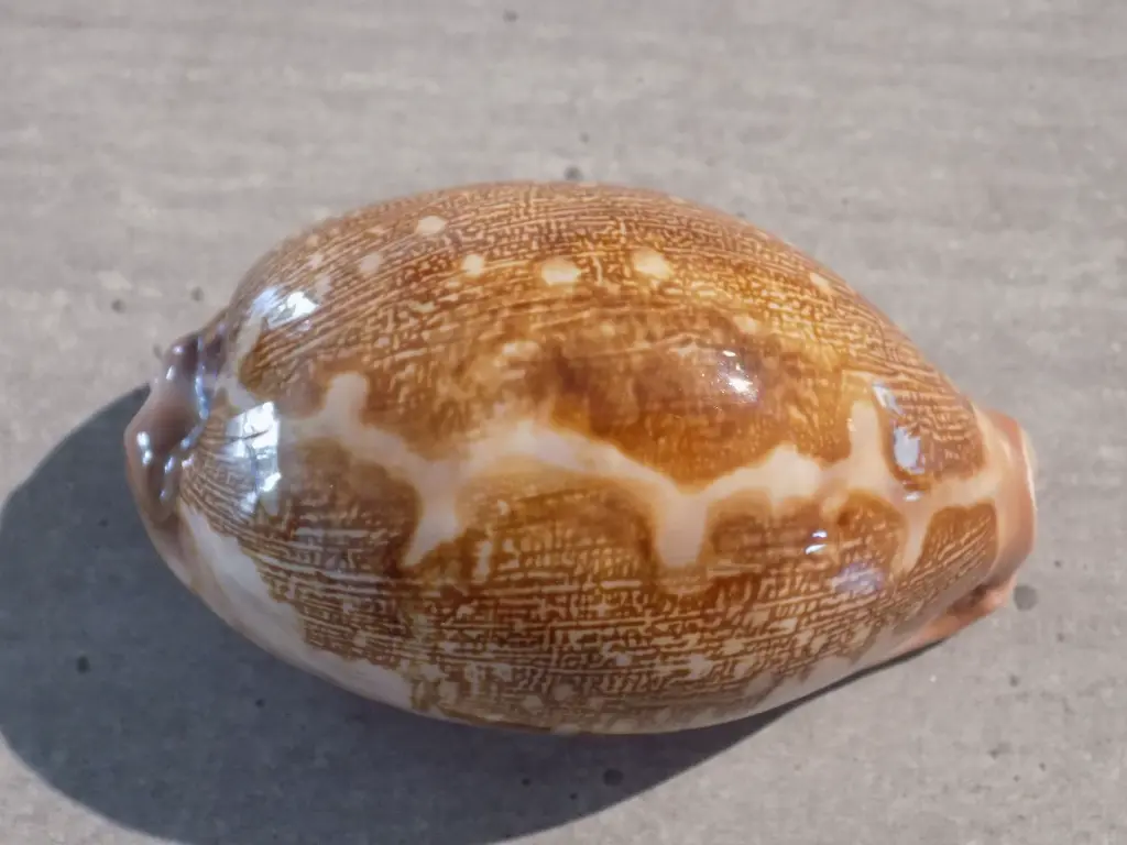 DSCN0869.webp