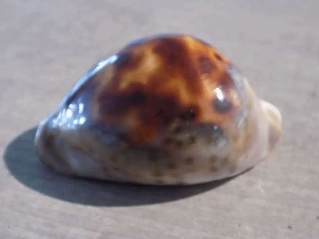 DSCN0875.webp