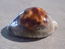 DSCN0875.webp