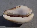 DSCN0876.webp